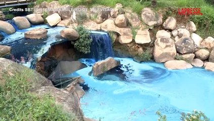 Brasile, camion coloranti si schianta e contamina ruscello: morti pesci e uccelli