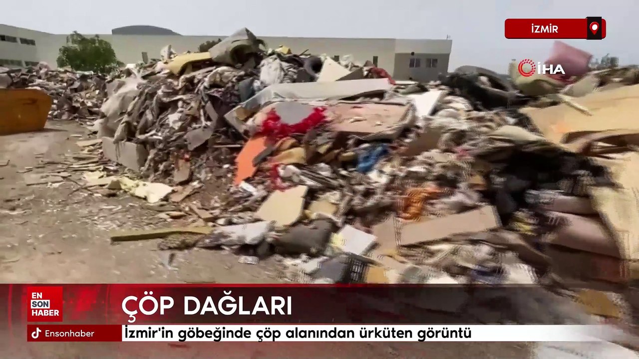 İzmir'in göbeğinde çöp alanından ürküten görüntü