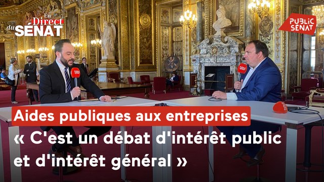 En direct du Sénat - Aides publiques aux entreprises : c'est un débat d'intérêt public et d'intérêt général