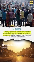 बच्चा गोद क्यों नहीं लेते? || आचार्य प्रशांत