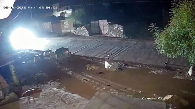 एक घंटे में निकले बजरी से भरे 200 ट्रैक्टर और डम्पर, माफिया कूट रहे चांदी