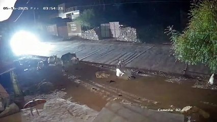 एक घंटे में निकले बजरी से भरे 200 ट्रैक्टर और डम्पर, माफिया कूट रहे चांदी