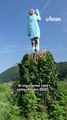 Une statue de Melania Trump disparaît mystérieusement