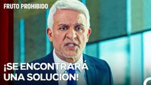 ¡No Quiero A Ese Hombre En Mi Empresa! - Fruto Prohibido Capitulo 54