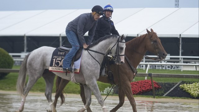 Analyzing Preakness Stakes Strategy & Betting Insights