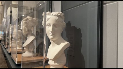 Pinacoteca di Brera, i busti del Canova per la bellezza ideale