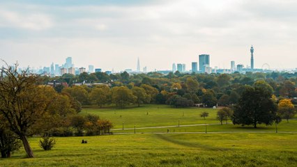 Look around London: Primrose Hill