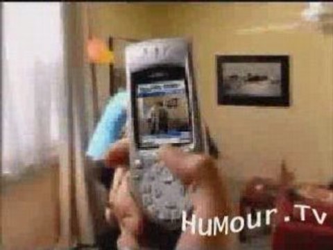 Chat Volant (Pub Humour)