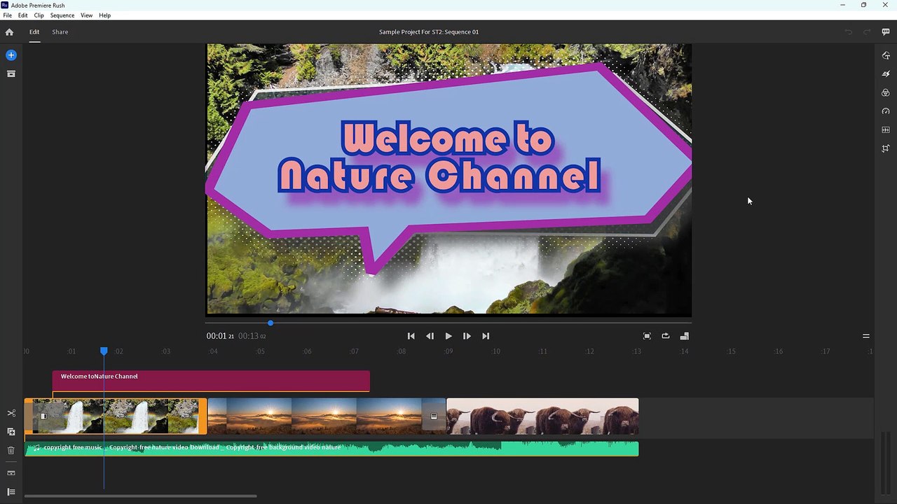 Adobe Premiere Rush 32 Application Preferences