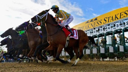 2025 Preakness Stakes Preview: Insights & Predictions