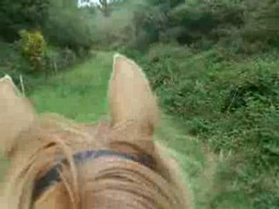 Ranch-Trot