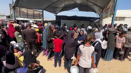 El hambre aguda golpeó a 295 millones de personas en 2024, advierte un informe