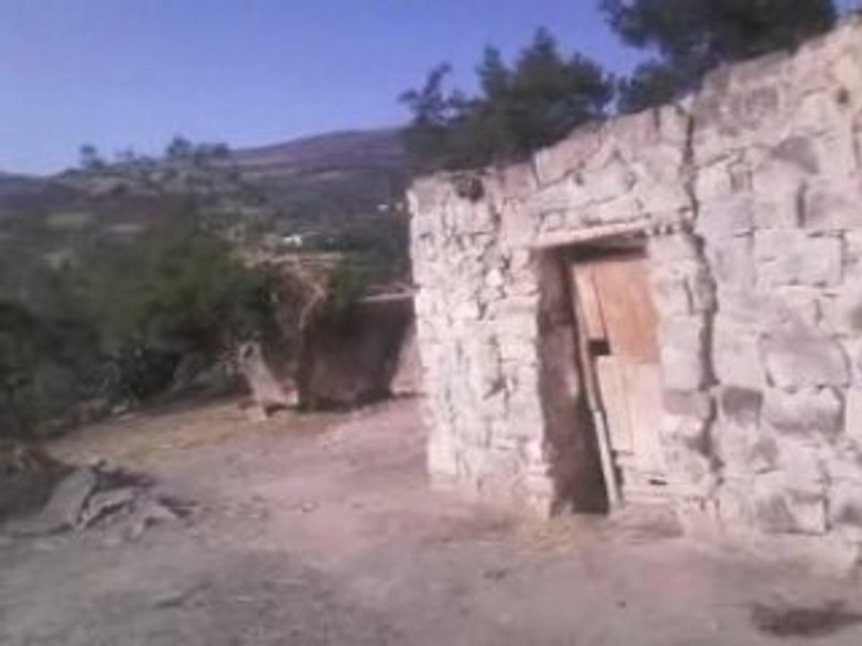 الصباح في اونوث