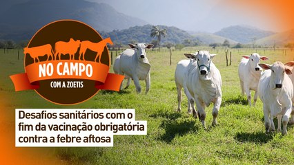 No campo com a Zoetis: desafios sanitários com o fim da vacinação obrigatória contra a febre aftosa