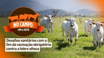 No campo com a Zoetis: desafios sanitários com o fim da vacinação obrigatória contra a febre aftosa