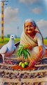Grandma's and Pigeon on railway line . #animals #firebrigade😱 #facebookviral #jalpari #foryouシ #BunnyAdventure #trend #amazingfacts #animation #indian #bestoftheday #trending #explore  #cartoon #Amazing #shorts #AI #duck #animals @follwer @Highlight