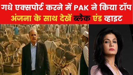 भिखारी-गधे में एक्सपोर्ट करने में PAK कैसे बना नंबर-1? देखें ब्लैक एंड विश्लेषण
