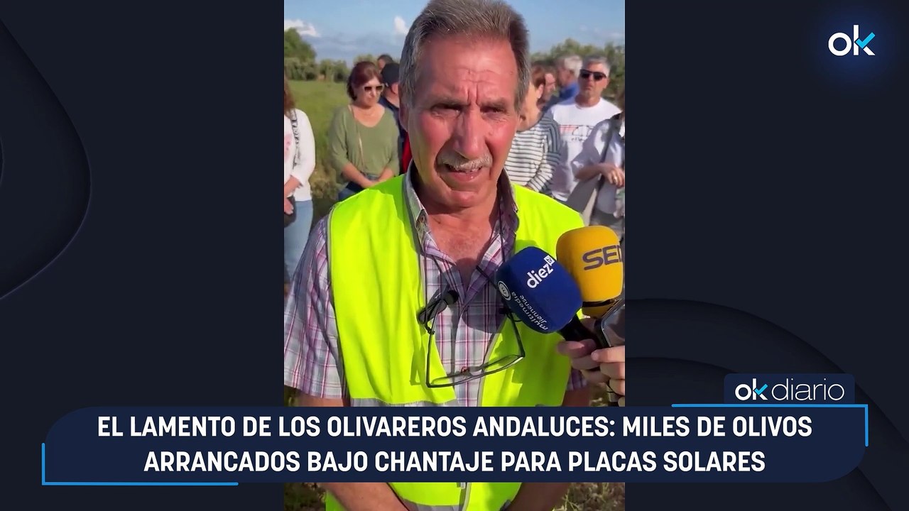 Jorge Buxadé (Vox): "Bruselas es una ciénaga de corrupción"