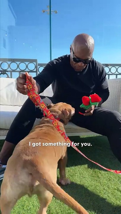💪 Terry Crews’ Fit & Snack Date with Senior Pittie‑Corgi Bobby 🐾🍖