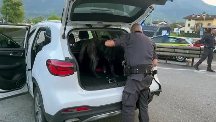 Gera Lario, resta in carcere il giovane che ha cercato di investire i finanzieri