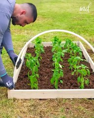 DIY projects to spice up your garden 🏡🌳