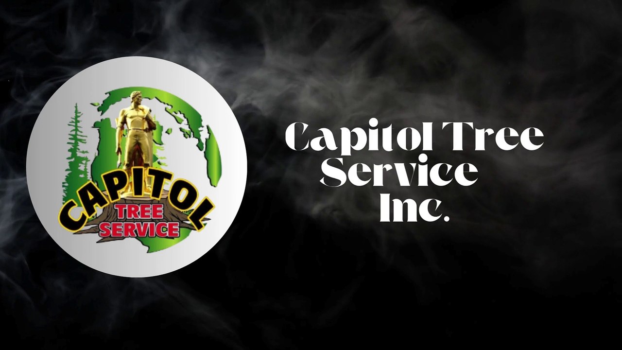 Professional Tree Services in Salem OR.
