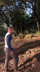 'Resgate difícil': Prefeitura encontra Pitbull abandonado em Apucarana