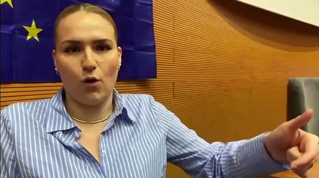 Gli studenti a colloquio con i parlamentari europei: Più concretezza sui temi a noi cari