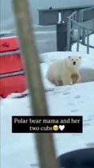 First Thought Was Mama, But Plot Twist! 😲