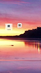 I purchased Capcut Pro subscription for just 350৳.01