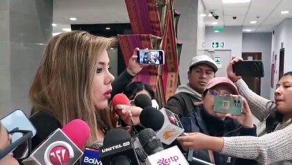 Gobierno responsabiliza al evismo por la violencia en inmediaciones del TSE