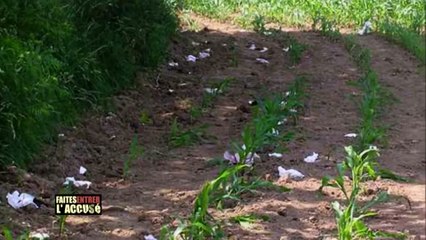 Faites Entrer lAccusé  Alain Kernoa, meurtre au Teknival (1)