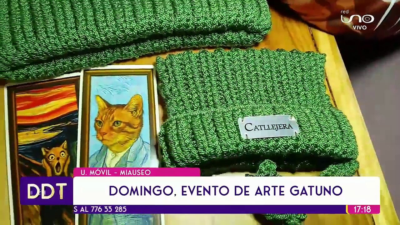 Dueños de la Tarde 16 de mayo del 2025