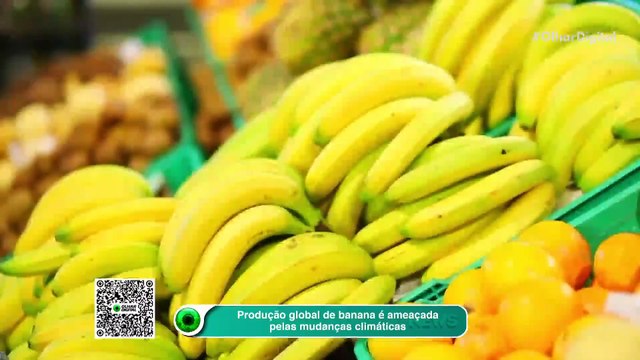 Ao vivo | Maior erupção solar do ano provoca apagões de rádio no mundo! | 16/05/2025 | #OlharDigital