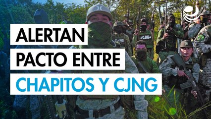 Alertan sobre posible pacto entre Chapitos y CJNG
