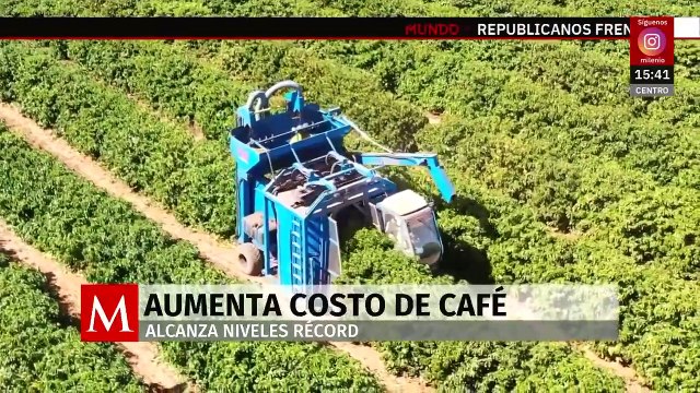 Aumenta el precio del café; afecta a productores y consumidores