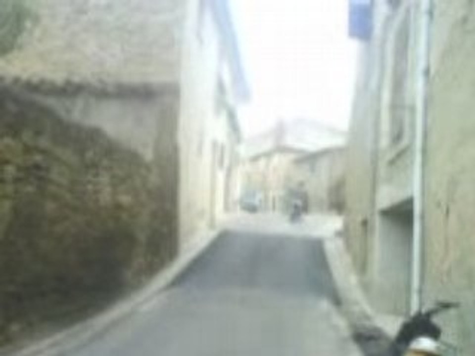 spitro polini