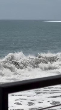 Woman Gets Swept Off Her Feet and Plunges into Water While Paddle Boarding