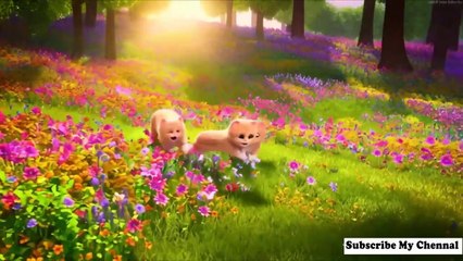 Whiskers the Cat A curious and adventurous kitty _ Nursery rhymes kid songs