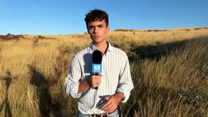 Man dies in police custody during disturbance at Newman Hospital in WA