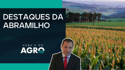 Setor do milho discutiu preços e armazenagem em Brasília | HORA H DO AGRO