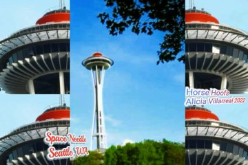 Space Needle Seattle by Alicia Villarreal