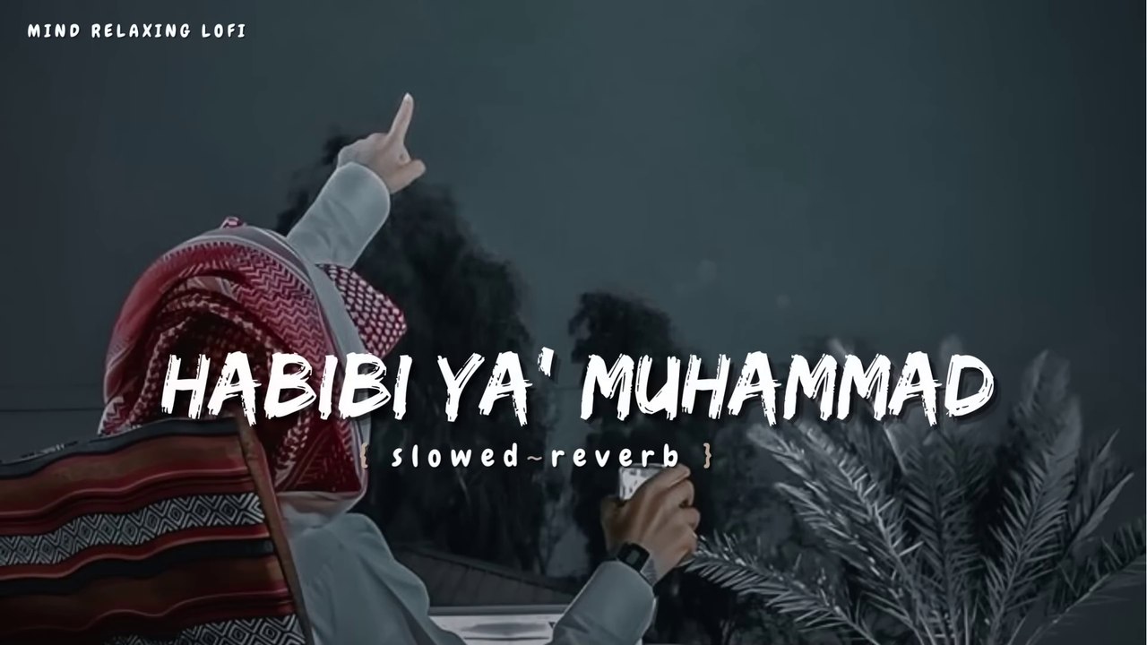 Habibi Ya Muhammad✨ (slowed reverb) Beautiful Nasheed Naat  l Lofi Version l Mind Relaxing Naat