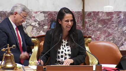 2ème séance : Simplification du droit de l’urbanisme et du logement ; Lutter contre la mortalité infantile - Jeudi 15 mai 2025