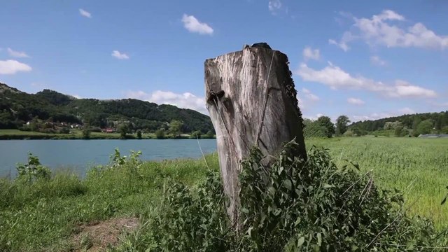 Melania Trump statue disappears from her Slovenian hometown