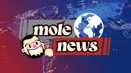 "Mole News" las noticias más random en 'Don Fematt'