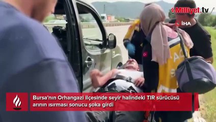 Bir arı yüzlerce kişiyi yolda bıraktı! İstanbul Bursa karayolu kapandı