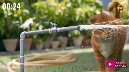 Kupu-Kupu Kertas (2025) - Indonesian Drama Film - film bioskop