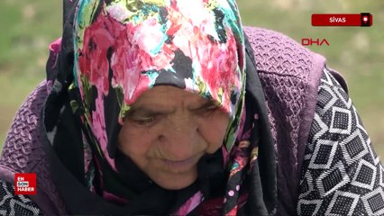 Sivas'ta köy kadınlarının zahmetli 'madımak' mesaisi