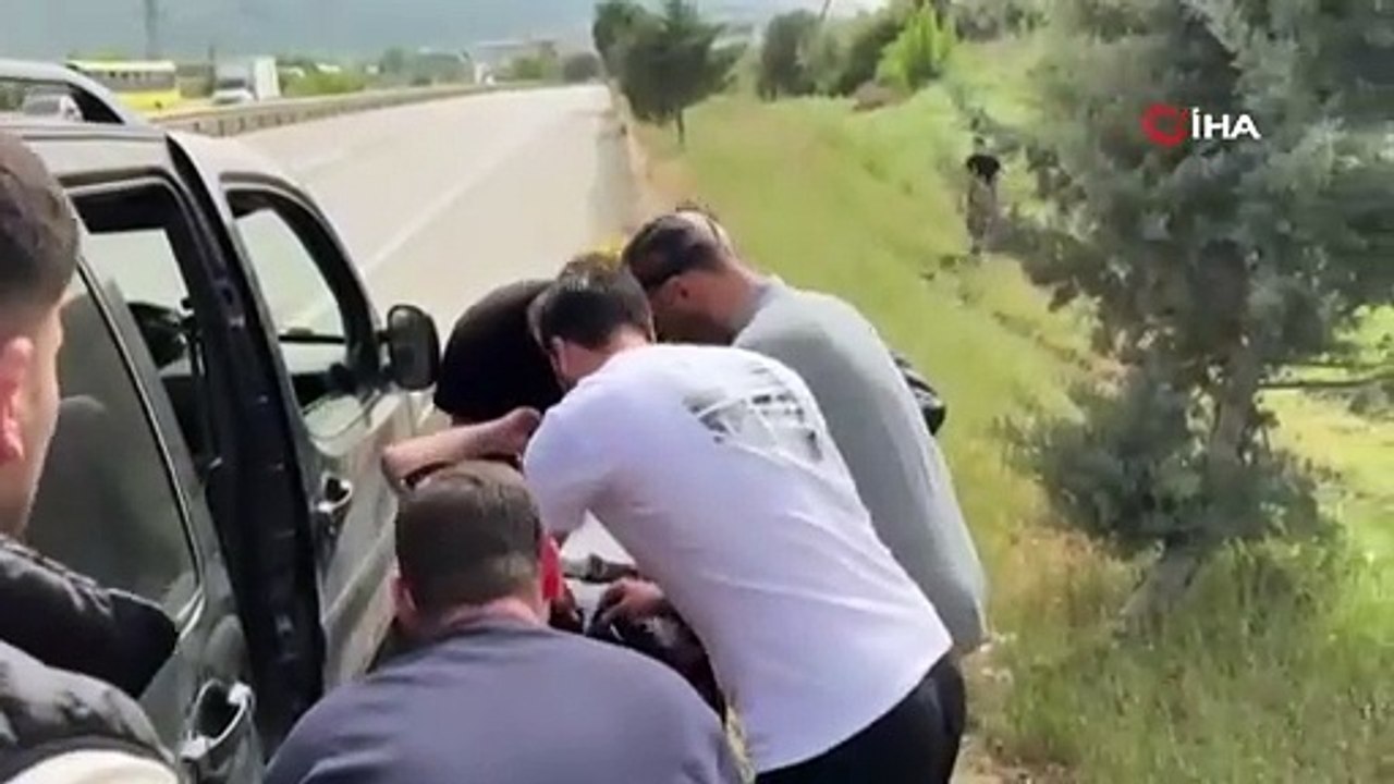 Yüzlerce araç yolda kaldı! Tır şoförünü arı soktu, karayolu savaş alanına döndü